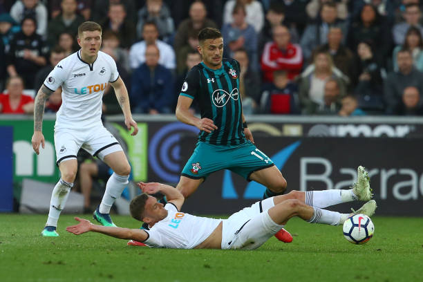 了高度肯定 了高度肯定