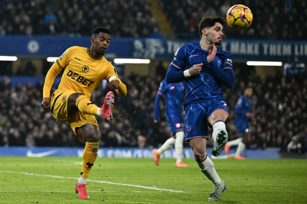 他们选择留 他们选择留